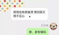 爆料视频投稿电话是真的吗,是真是假，一探究竟