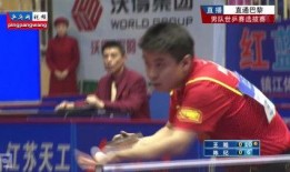 乒乓在线观看,精彩瞬间回顾，感受国球魅力