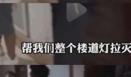 石家庄爆料事件视频,视频揭露惊人真相
