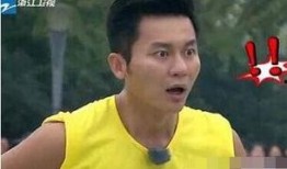 李晨爆料视频大全集最新,揭秘娱乐圈幕后真相