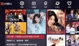 情感爆料新闻纪录片视频,揭秘新闻背后的真实情感故事