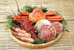 爆料鲜扇贝零食图片视频,口感鲜美，视觉盛宴！