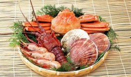 爆料鲜扇贝零食图片视频,口感鲜美，视觉盛宴！