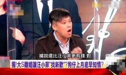 汪小菲照片爆料视频,揭秘背后真相