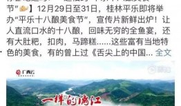 桂林平乐镇爆料新闻事件,真相与影响揭秘