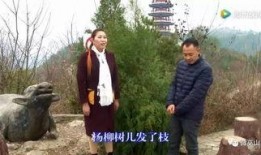 巫山山歌在线观看,穿越时空的民间旋律，在线视听之旅