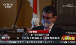 美国孙子爆料新闻报道视频,揭秘家族惊人内幕