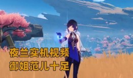 夜兰爆料视频,神秘事件背后的惊人真相