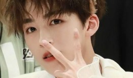 娱乐爆料何洛洛,揭秘明星背后的故事