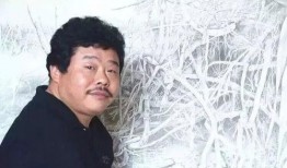小强爆料王琨视频全集,王琨视频全集深度剖析