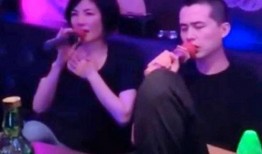 记者爆料王菲视频,幕后真相引网友热议