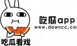 国产网红黑料吃瓜app最新版,国产“吃瓜”APP最新版深度解析
