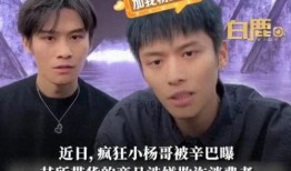 小杨哥兄弟互相爆料视频,小杨哥兄弟爆料视频大揭秘