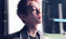 娱乐吃瓜鹿晗,娱乐界的瓜王，揭秘明星背后的故事