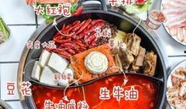 爆料爸爸炒料视频播放在线观看,在线观看炒料视频，一招学会家常美味