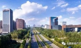 合肥滨湖新区最新爆料