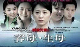 电视剧养母在线观看,温情演绎母爱如山