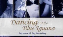 钢管舞娘手机在线观看,激情四溢的舞蹈盛宴