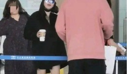 关之琳丈夫爆料视频在线观看,揭秘婚姻内幕与情感纠葛