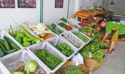 河北大城县卖衣服最新爆料,揭秘卖衣新风向