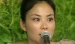 记者爆料王菲视频,幕后真相引网友热议