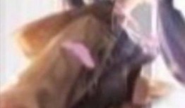 伤心皮肤爆料视频大全,皮肤爆料视频大全情感解析