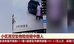 石家庄爆料事件视频,视频揭露惊人真相