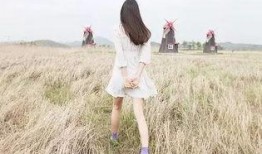 娱乐大爆料背影照片,背影成谜，明星真实身份大猜想