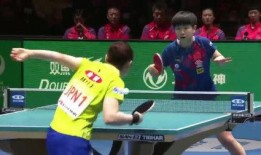 乒乓在线观看,精彩瞬间回顾，感受国球魅力