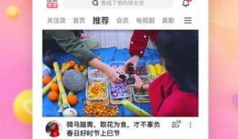 动物博主爆料视频下载,下载视频背后的故事