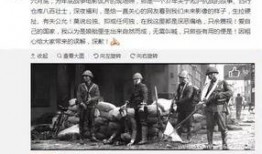 佛山潮人爆料事件始末视频,真相与争议的交织