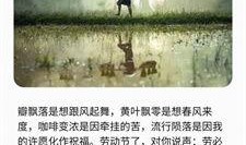 爆料讽刺短视频素材下载,讽刺短视频素材背后的真相与笑料