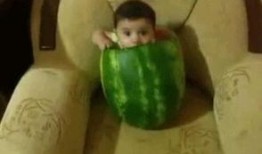 吃瓜群众免费吃瓜照片