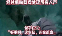 安南最新爆料事件视频,揭秘事件背后惊人真相
