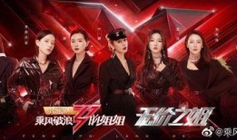 网神阿战爆料视频大全集,揭秘网络幕后真相