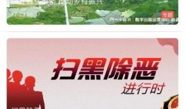景宁新闻爆料视频大全集,聚焦民生热点，展现时代变迁