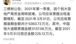 碧桂园物业爆料最新消息,揭秘项目动态与未来规划