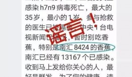 热点爆料辟谣视频大全,揭秘网络谣言真相视频大盘点
