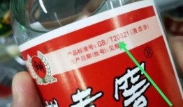 爆料白酒勾兑视频教程下载,视频教程下载解析