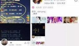 娜美仙家爆料视频播放在线观看,独家内容在线观看，揭秘幕后真相