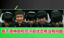 原神叶哥爆料视频在线观看,揭秘游戏幕后故事与精彩瞬间