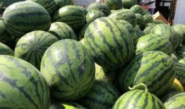 砀山最新吃瓜爆料,揭秘当地热点事件背后的真相