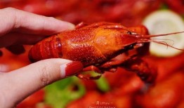 厦门龙虾爆料视频最新版,揭秘海鲜市场惊人内幕！