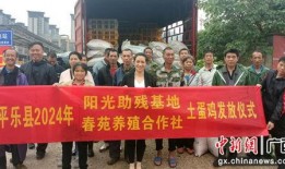 桂林平乐镇爆料新闻事件,真相与影响揭秘