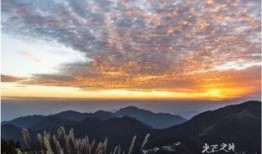 彩霞在线观看的,云端绽放的浪漫传奇