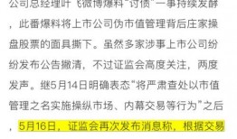 媒体爆料范文大全集最新,最新媒体爆料背后的故事与启示