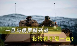 美媒爆料俄罗斯战争视频,美媒曝光的真实战争画面震撼呈现