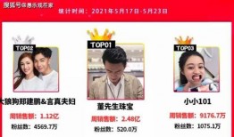 民政先生爆料视频大全集,揭秘事件真相与幕后黑幕