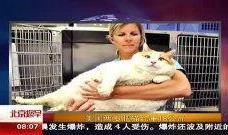 肥猫tv在线观看,畅享在线娱乐的无限魅力