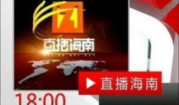 海南电视台新闻频道爆料,揭秘某重大事件背后真相